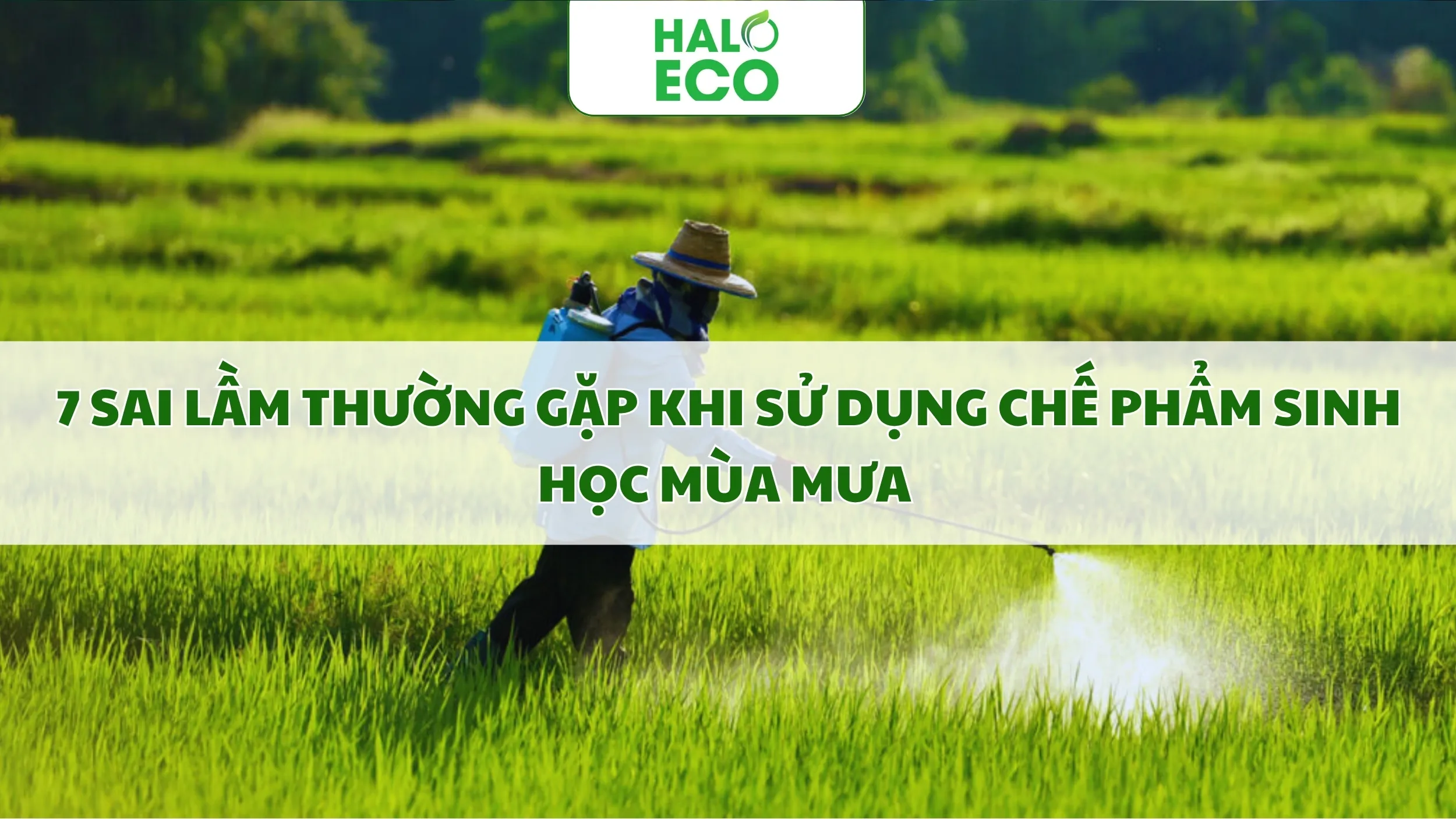 7 SAI LẦM THƯỜNG GẶP KHI SỬ DỤNG CHẾ PHẨM SINH HỌC MÙA MƯA 