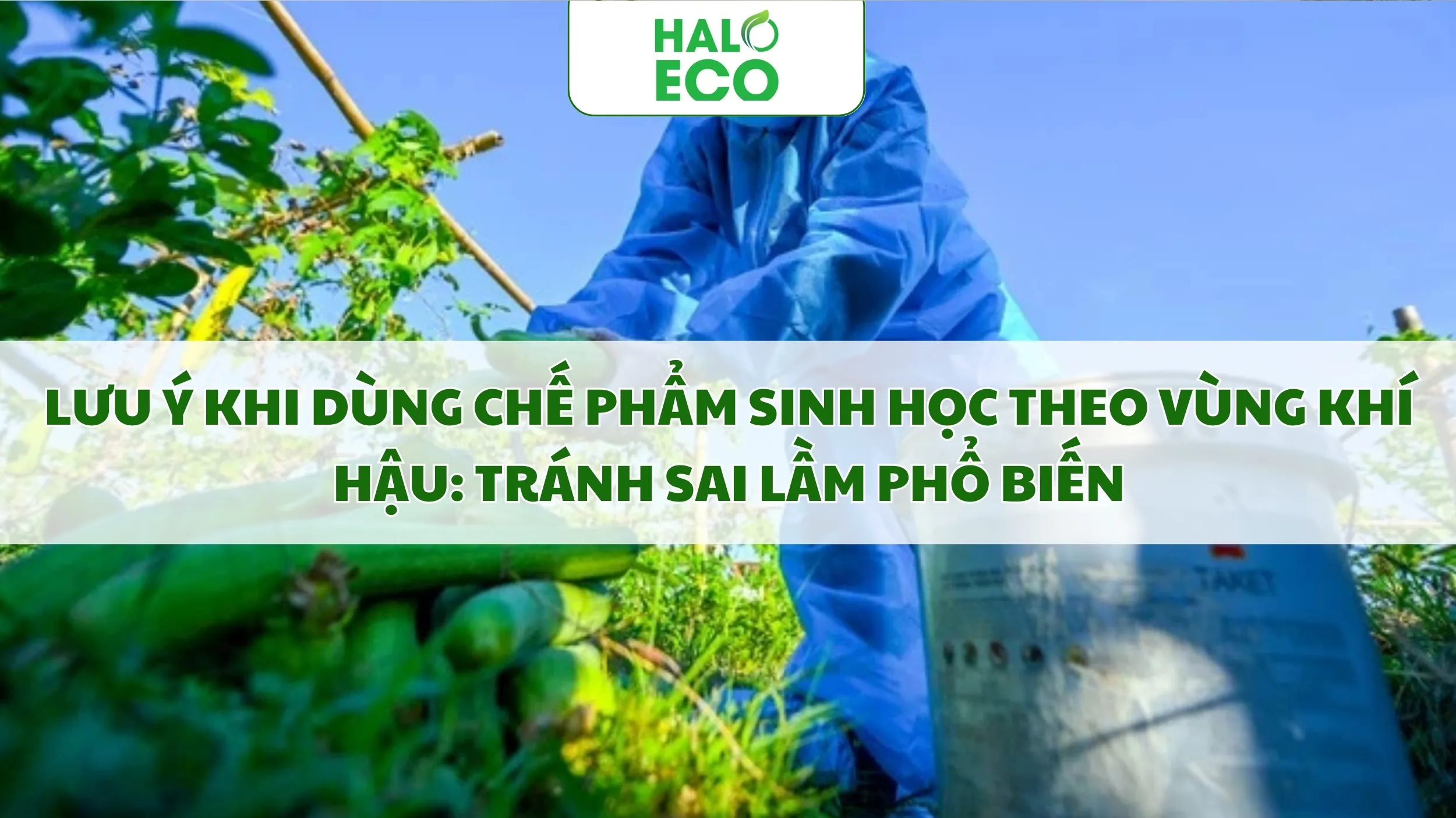 Lưu Ý Khi Dùng Chế Phẩm Sinh Học Theo Vùng Khí Hậu: Tránh Sai Lầm Phổ Biến